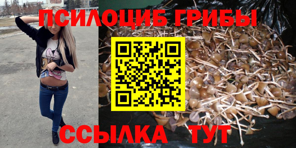 Бошки Шишки Добрянка