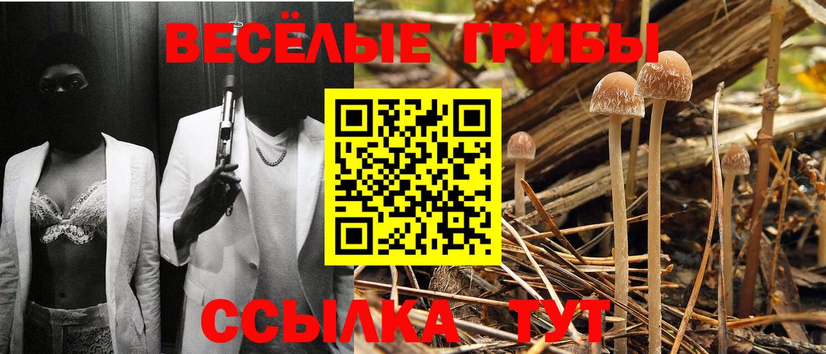 Галлюциногенные грибы Magic Shrooms  Вход с VPN  Добрянка 